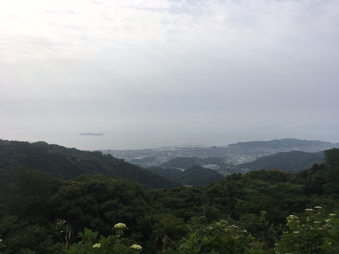 三ヶ根山20200606 / hira250trさんの三ヶ根山の活動データ YAMAP / ヤマップ