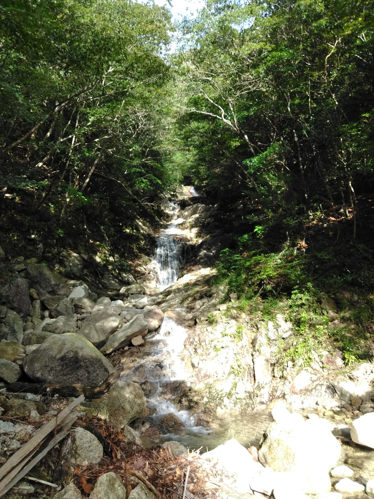 御在所(本谷➡️一ノ谷) / としさんの御在所岳（御在所山）・雨乞岳の 