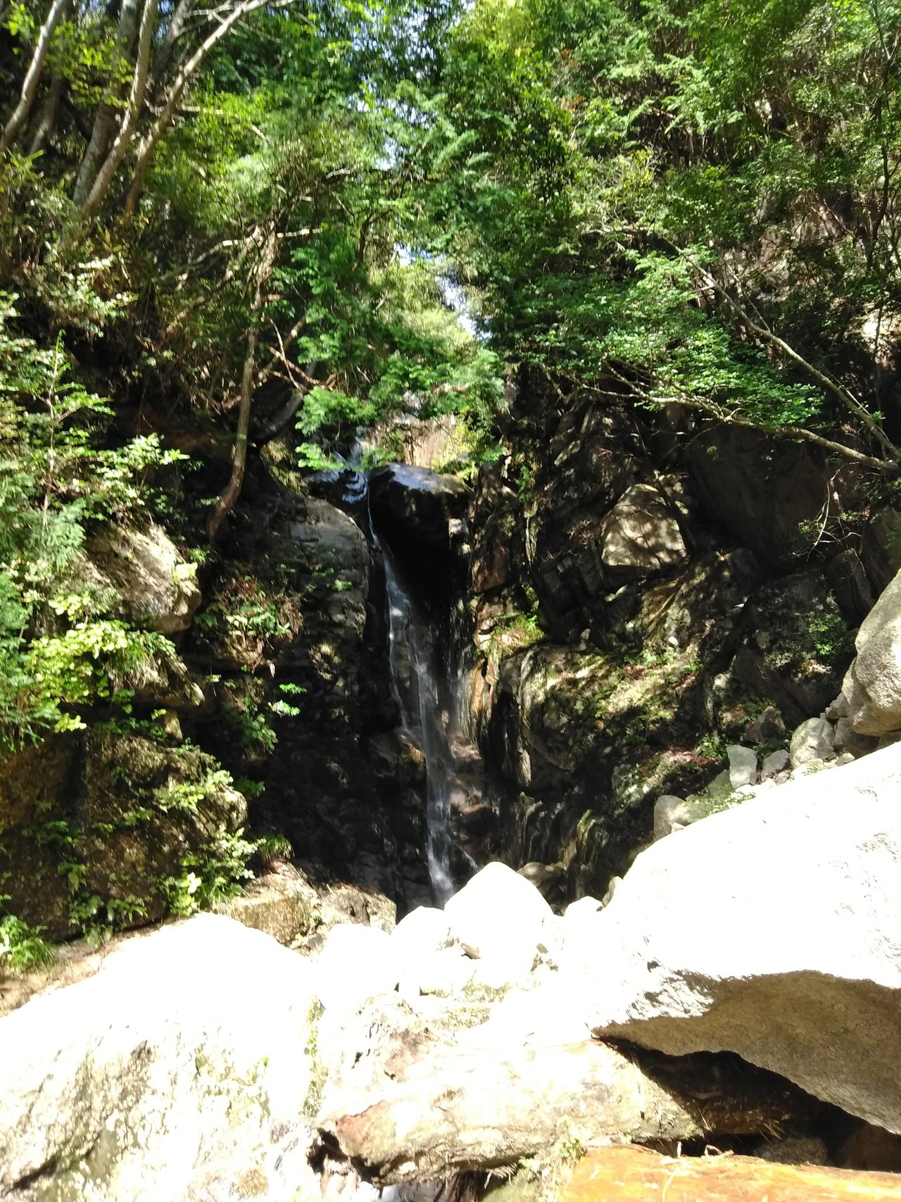 御在所(本谷➡️一ノ谷) / としさんの御在所岳（御在所山）・雨乞岳の 