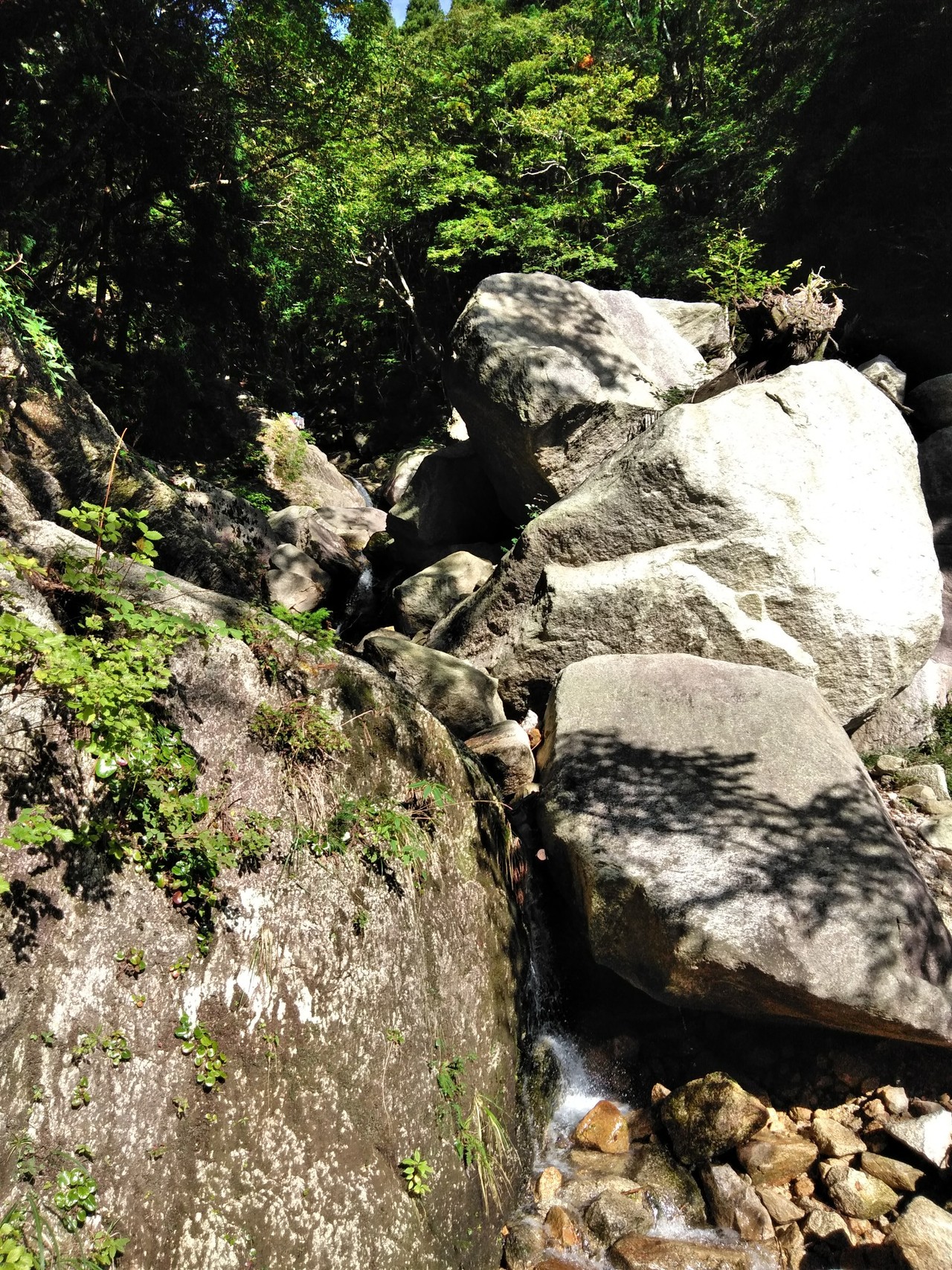 御在所(本谷➡️一ノ谷) / としさんの御在所岳（御在所山）・雨乞岳の 