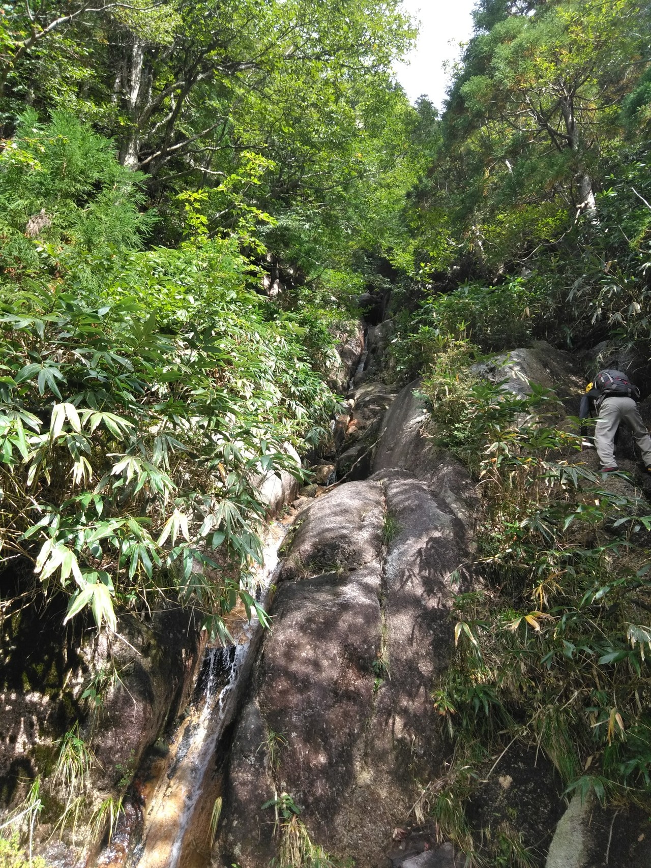 御在所(本谷➡️一ノ谷) / としさんの御在所岳（御在所山）・雨乞岳の 