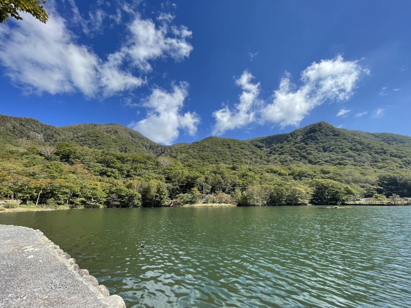 黒檜山・駒ヶ岳 / とだなさんさんのヤマノススメ巡礼マップ（赤城山・地蔵岳）の活動データ | YAMAP / ヤマップ