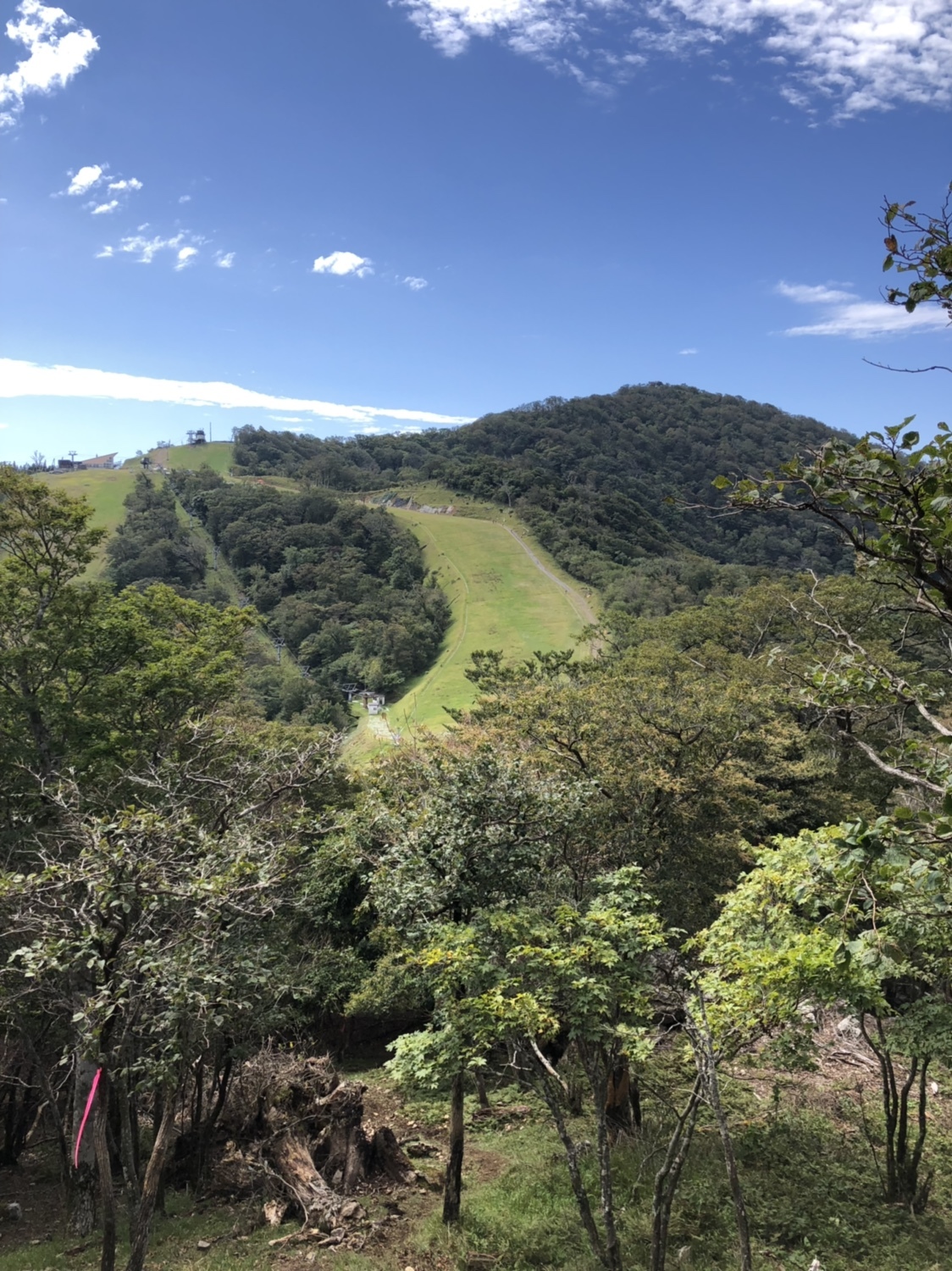 九州脊梁山脈トレイルランin山都町 まさのぶさんの九州脊梁山脈トレイルラン In 山都町の活動データ Yamap ヤマップ
