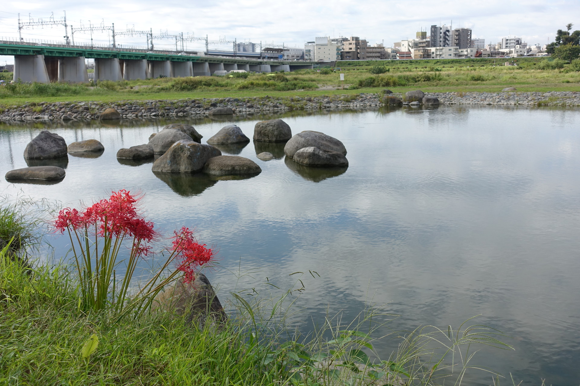 多摩川 を行く Section2 かぜのみち Mieeさんの東京都23区 西エリアの活動日記 Yamap ヤマップ