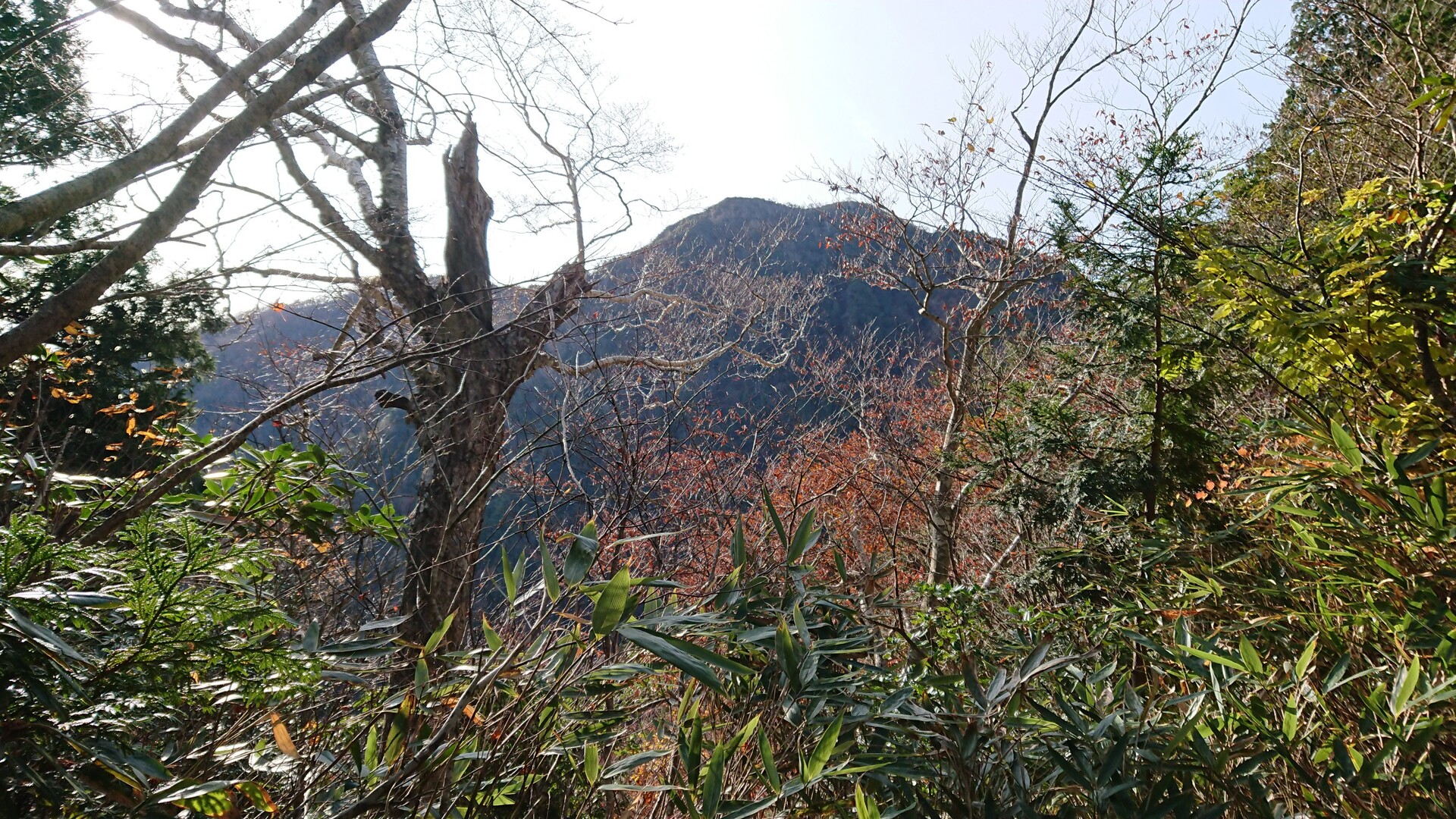 荒海山で紅葉を楽しみました。 / hero2_mountainさんの荒海山・芝草山の活動データ | YAMAP / ヤマップ