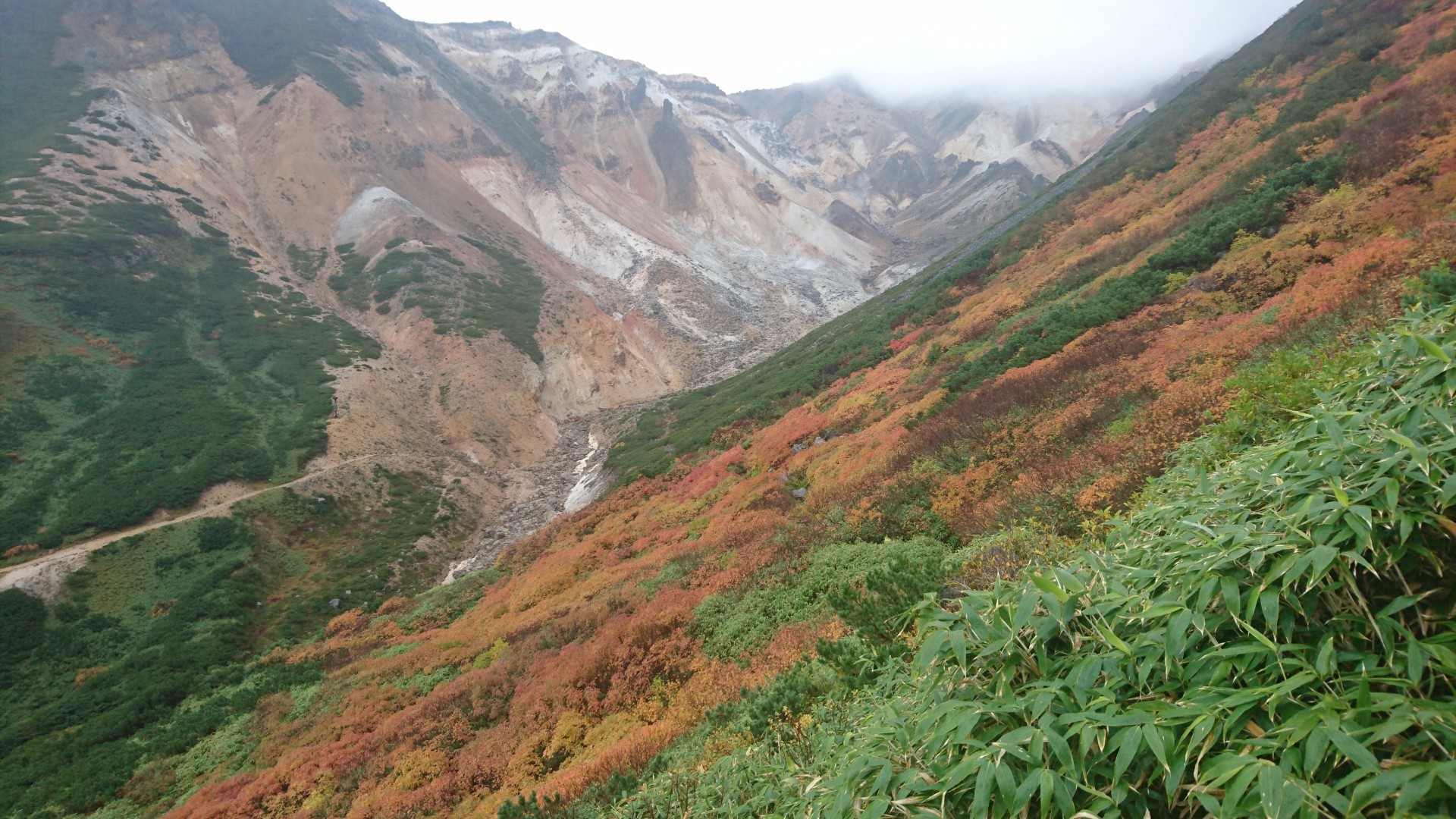 十勝岳 富良野岳 ガスガス強風 紅葉は見頃 そうちゃんさんの十勝岳 富良野岳 美瑛岳の活動データ Yamap ヤマップ