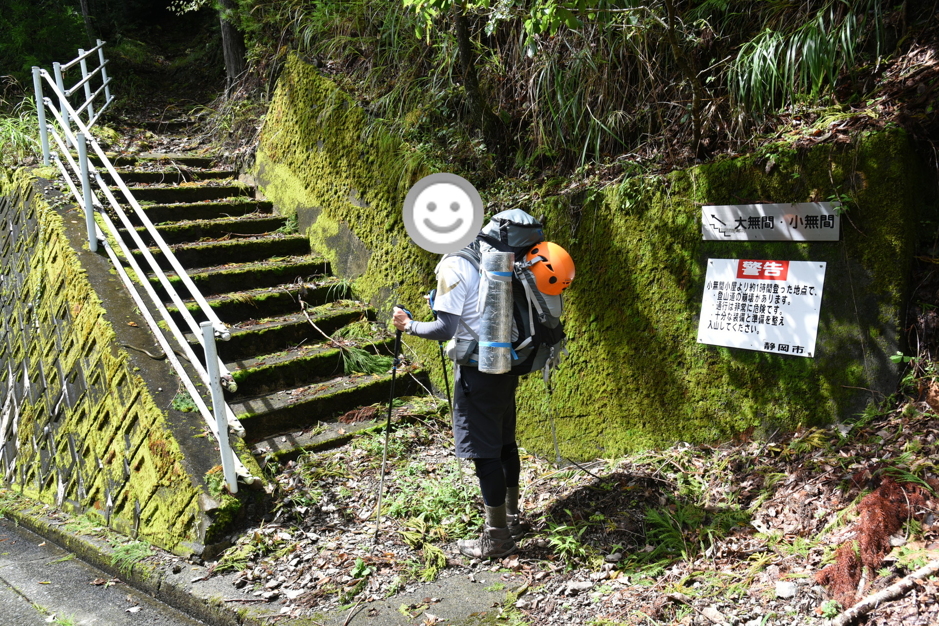 大無間山 林道を渡る。階段脇にヘビがいました。
