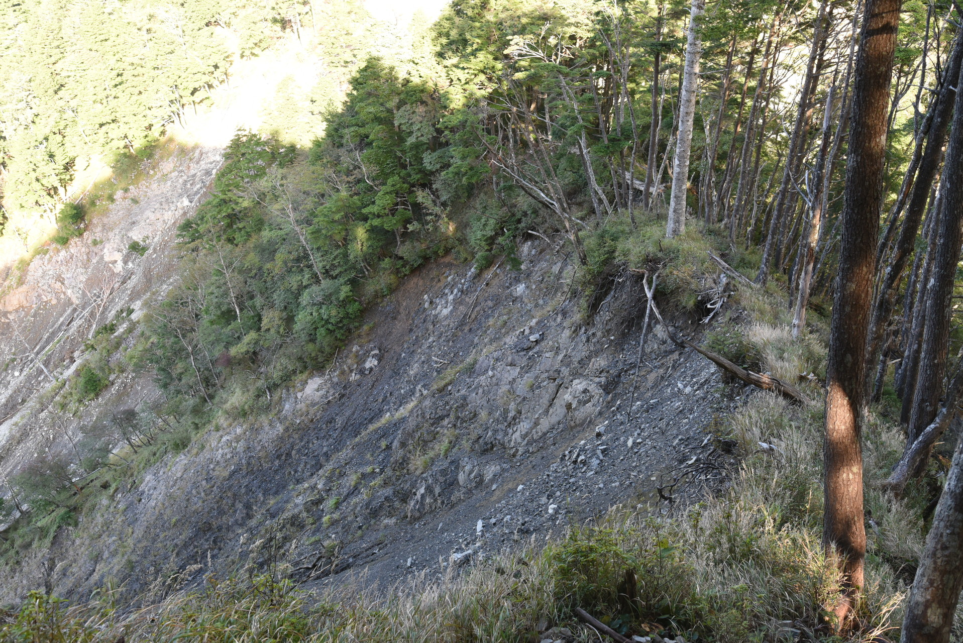 大無間山 南側の崩落地。
まっすぐ立っている木がかわいそう。いずれ...