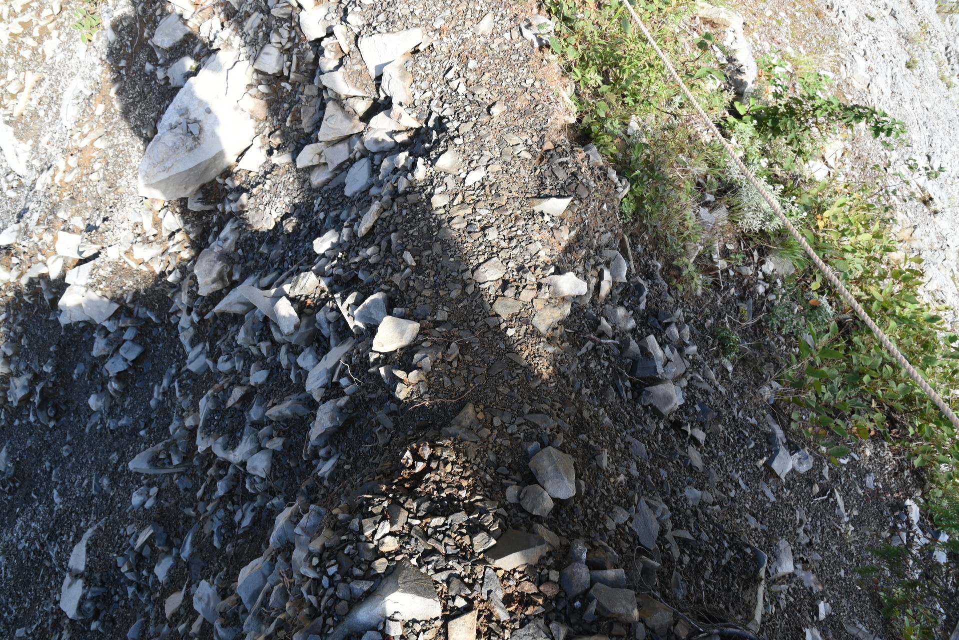 大無間山 足元の太いところでもこれぐらい。