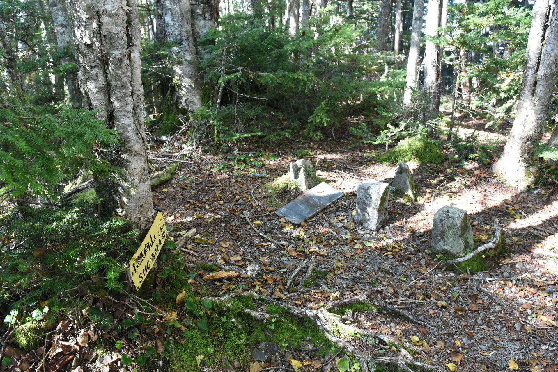 大無間山 小無間山の山頂。三角点がありました。
黄色い看板は、昭和61年11月の表示。