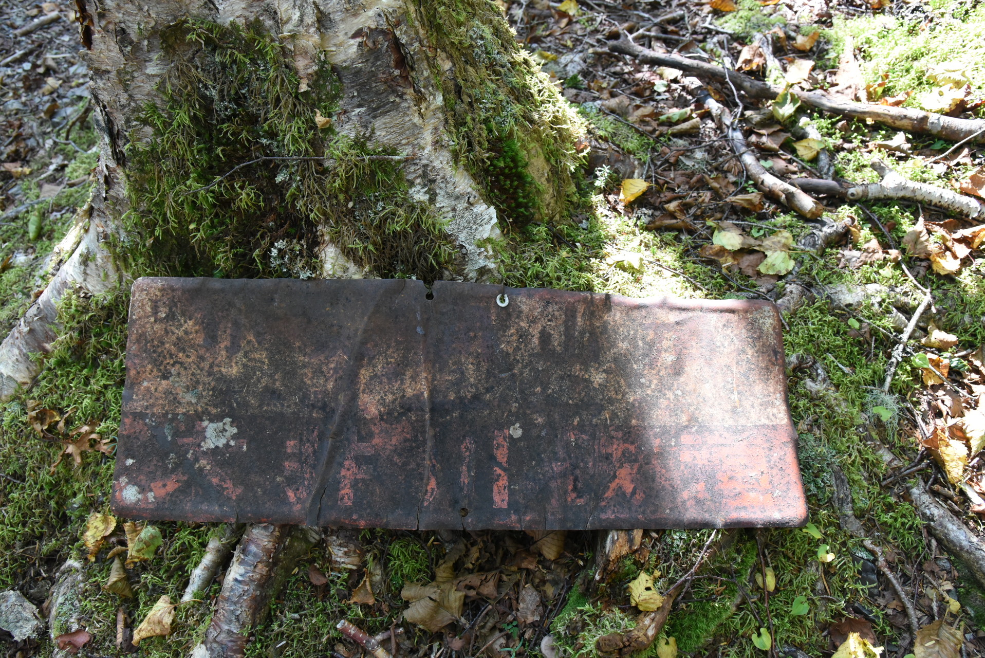 大無間山 古ーい看板。大井川鐡道と読めます。
観光地として開発しようとしたのかな...