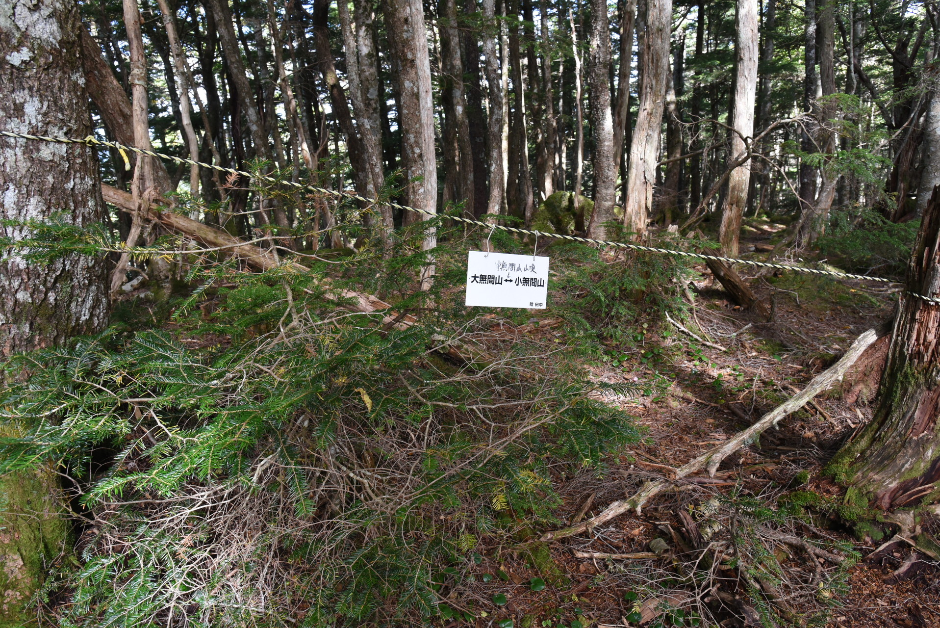 大無間山 わかりにくい中無間山。ここでコースの方向が変わります。