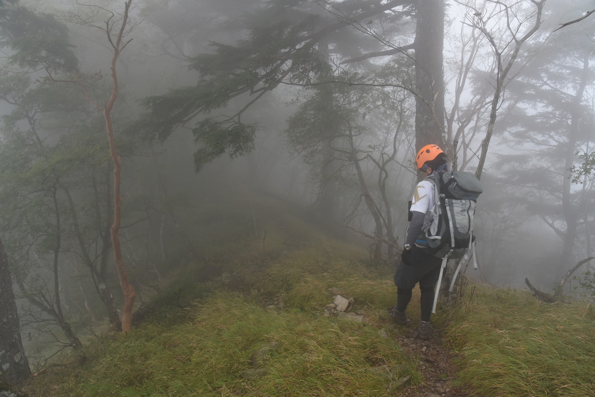 大無間山 大崩落地を抜け、時間がないので一息する間もなく
下山を急ぎます。