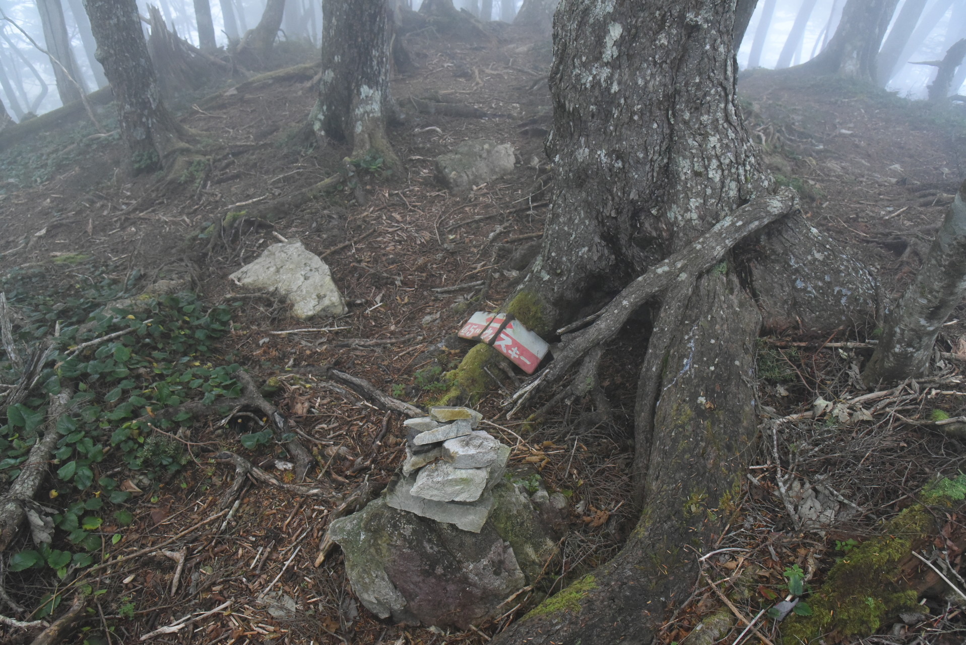 大無間山 鋸歯ピーク。
行きには気がつかなかった、古いウィスキーの看板を発見。