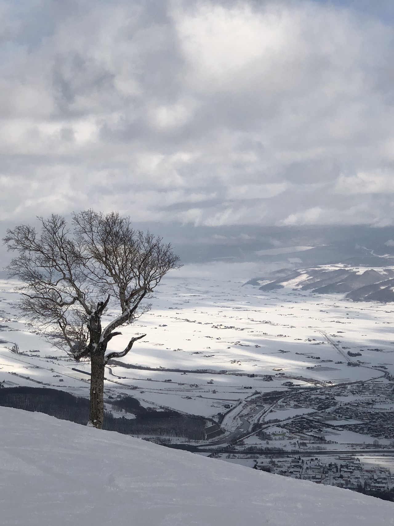 場 富良野 スキー