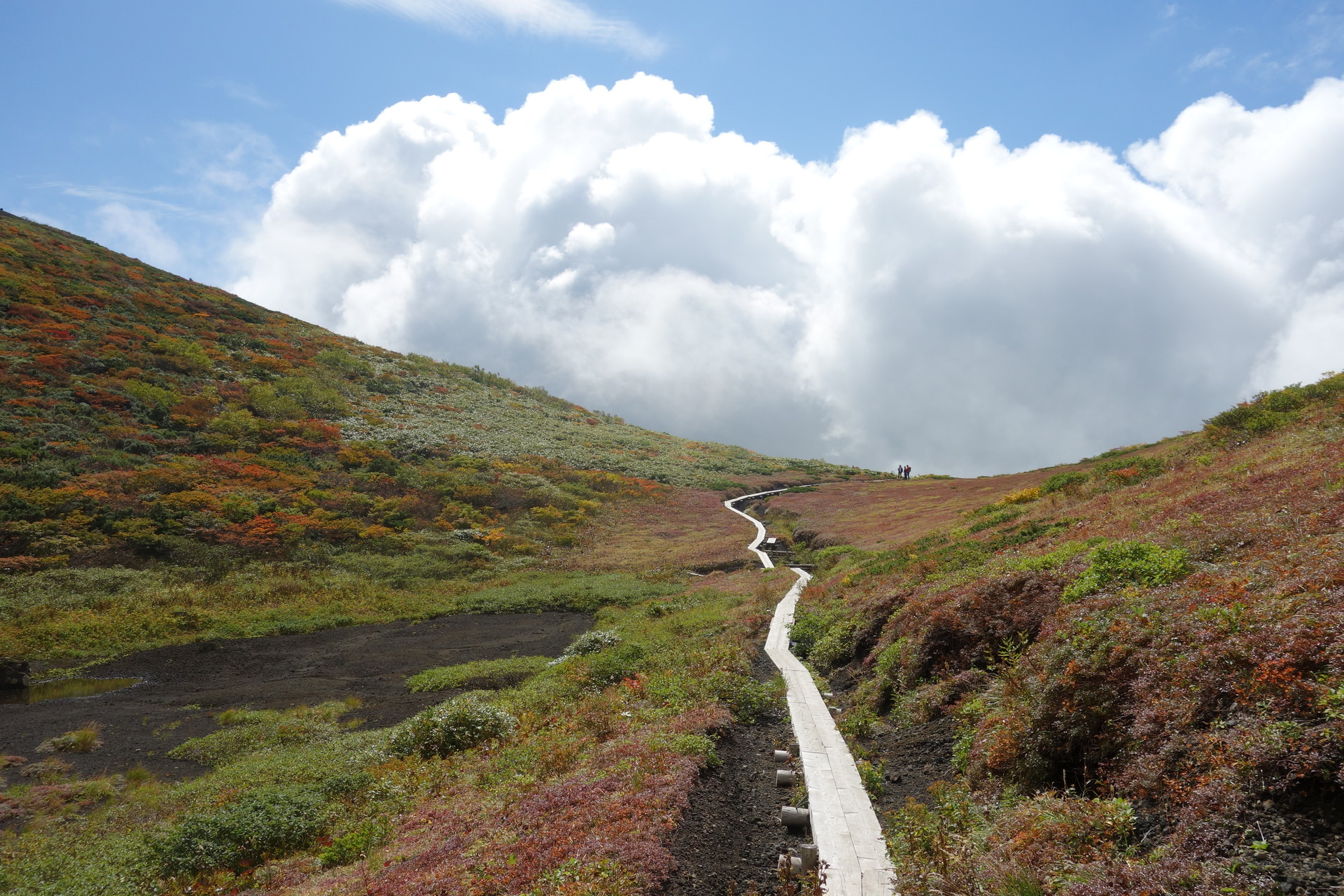 秋田駒ヶ岳 駒ヶ岳八合目から草紅葉のムーミン谷へ やまてくさんの秋田駒ヶ岳 男女岳 貝吹岳の活動データ Yamap ヤマップ