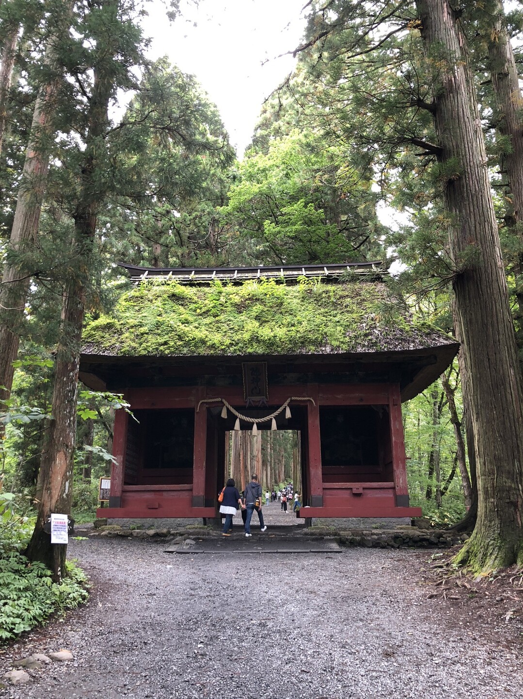 戸隠古道を歩く戸隠神社五社巡り トレッキングさんの高妻山 戸隠山の活動データ Yamap ヤマップ