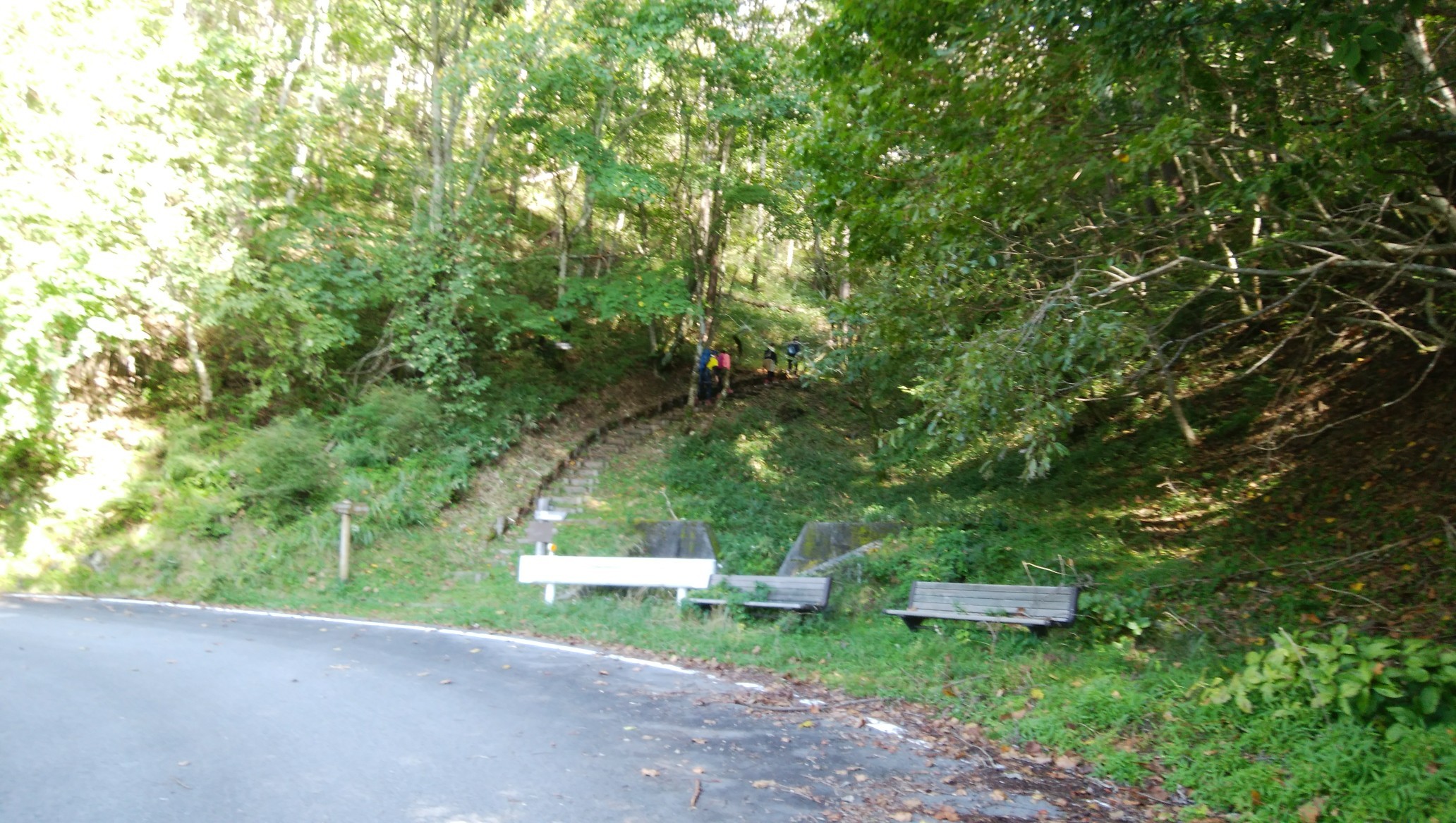 大菩薩嶺 上日川峠 大菩薩峠 雷岩 大菩薩嶺 上日川峠 むろ監督さんの大菩薩嶺 鶏冠山 大マテイ山の活動日記 Yamap ヤマップ