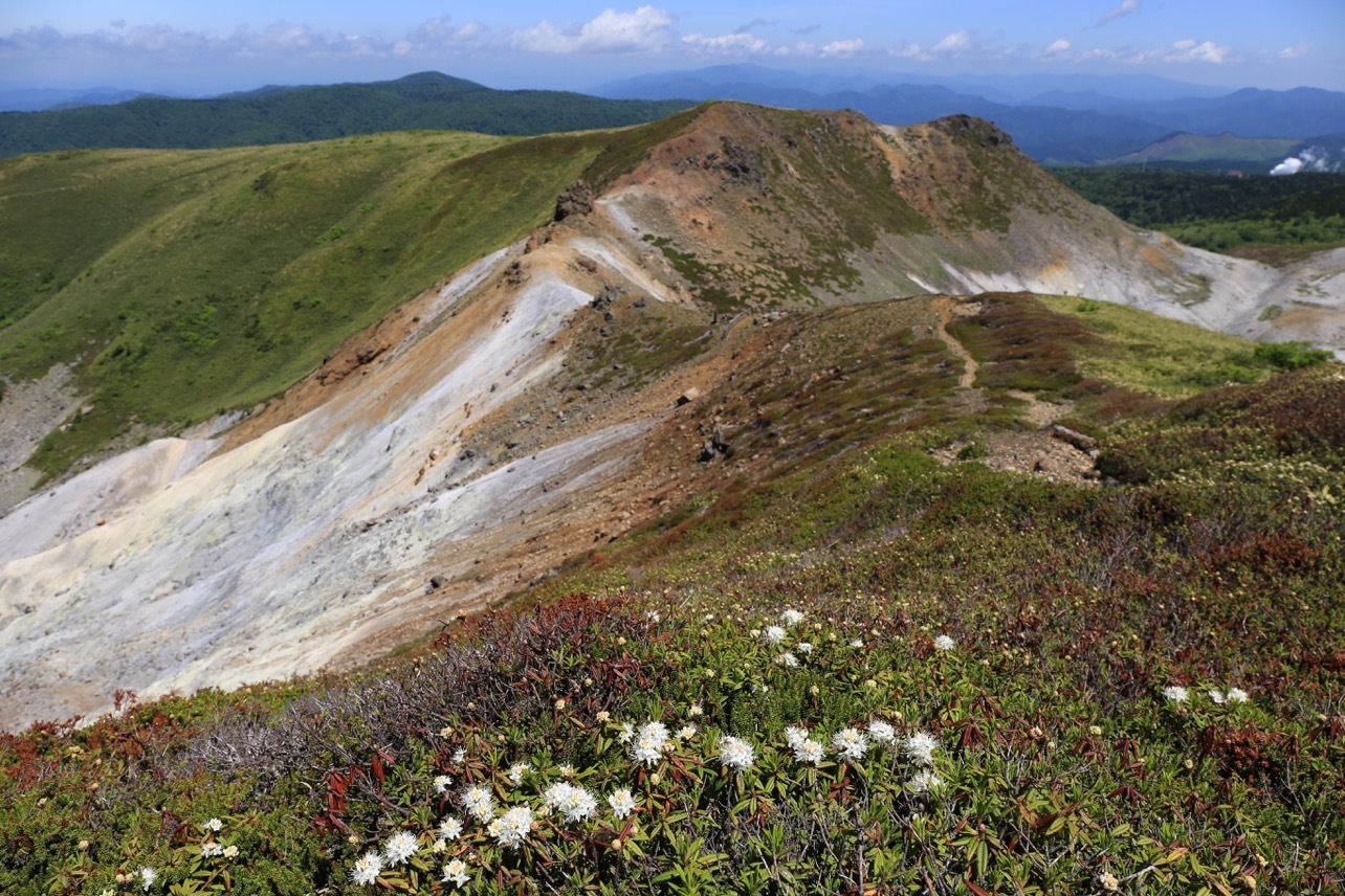 16 6 10 イワカガミ咲き乱れる秋田焼山 を歩く 後生掛 焼山 ベコ谷地 後生掛 呑気なおじーちゃんさんの秋田焼山 栂森の活動データ Yamap ヤマップ