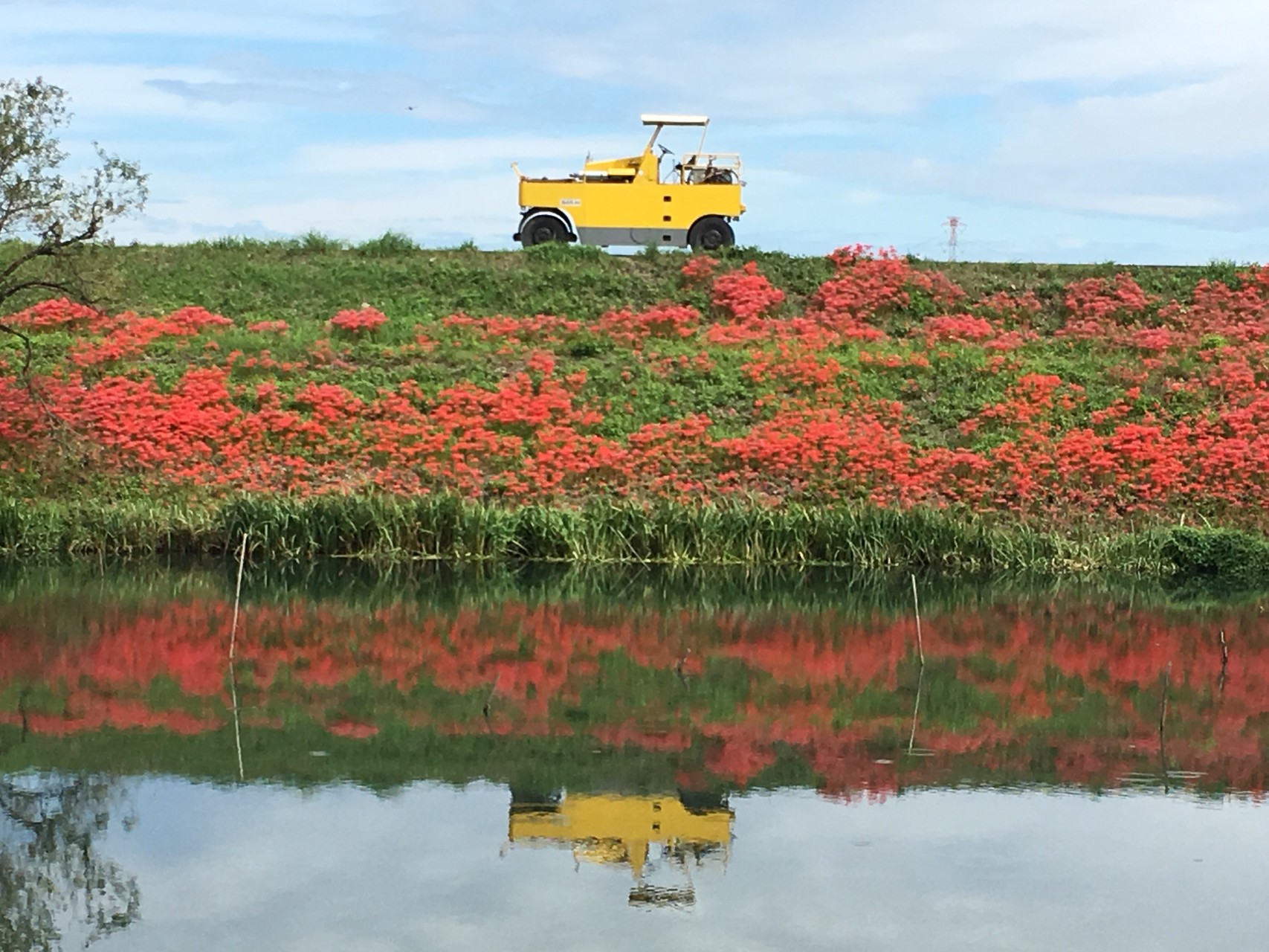 津屋川の彼岸花散歩道 にこちゃんさんの養老山 笙ヶ岳 三方山の活動データ Yamap ヤマップ