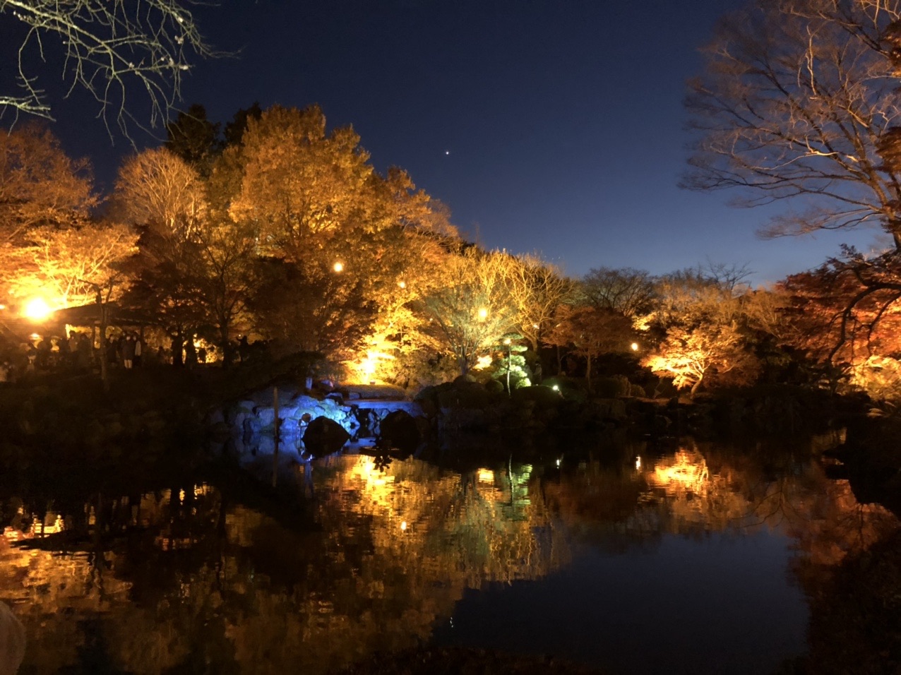 桜山公園 河鹿橋 ライトアップ巡り ねじばなさんの御荷鉾山 オドケ山 桐ノ城山の活動データ Yamap ヤマップ
