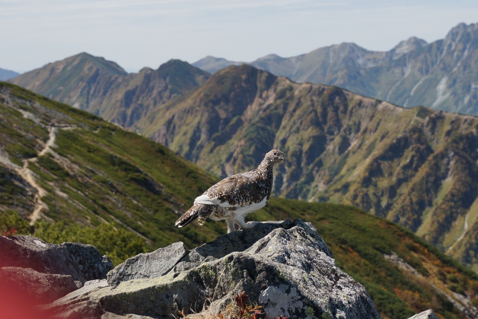 後立山連峰と特急あずさ号絵画風景画山岳風景