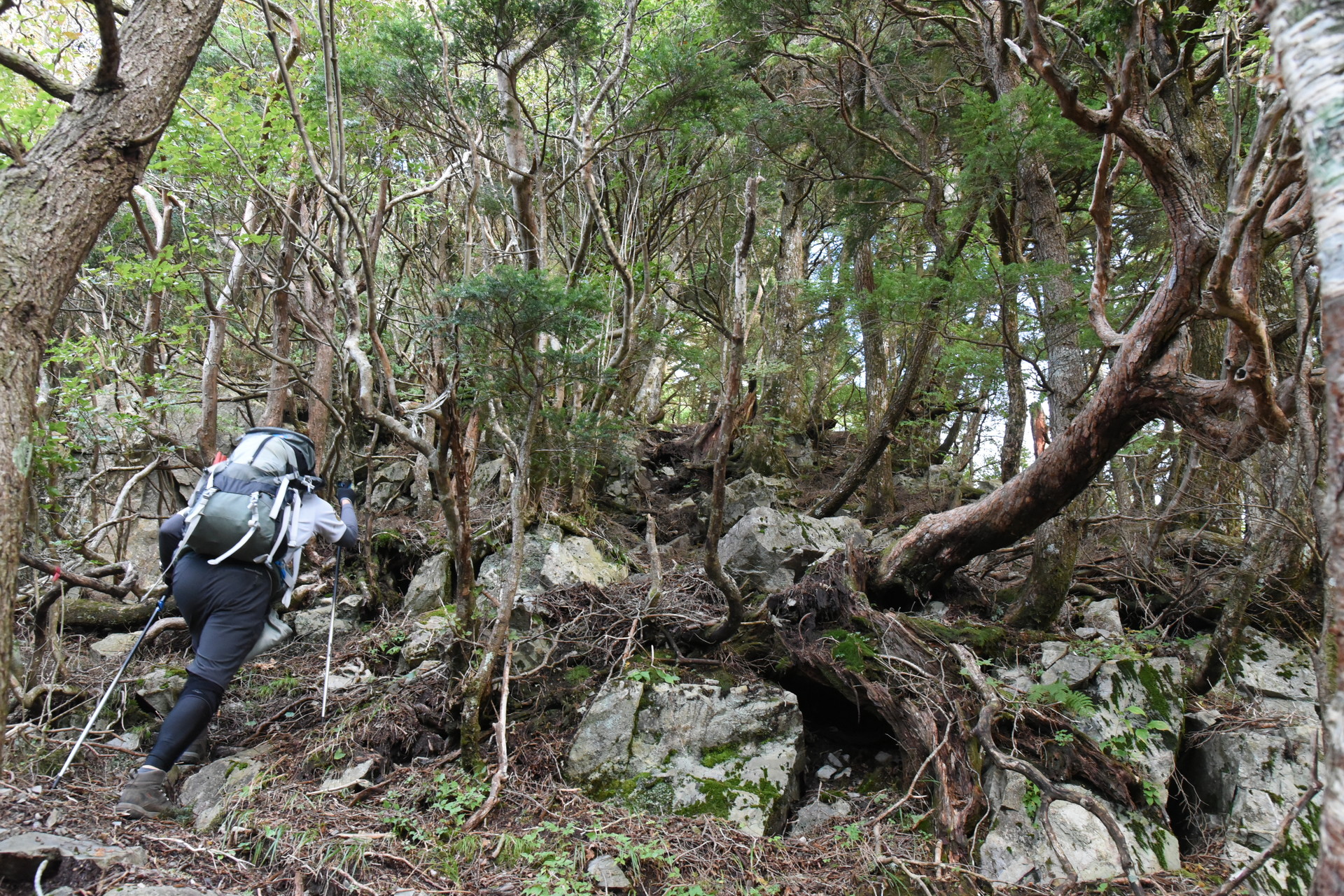 大無間山 急登・急下降・急登・急下降。