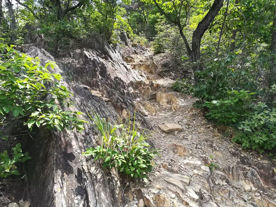 天狗山 両崖山 大岩山 野山を周回 なお さんの両崖山 仙人ヶ岳 石尊山の活動日記 yamap ヤマップ