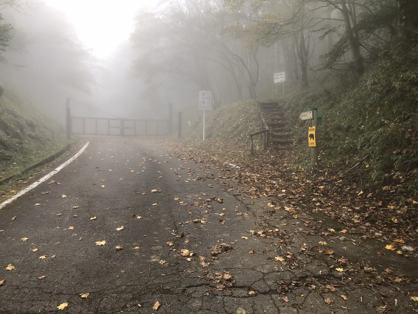 雨が降ってきのこが沢山顔を出しましたよ 雁ヶ腹摺山 大樺ノ頭 19 10 Sabo10さんの雁ヶ腹摺山 岩殿山の活動日記 Yamap ヤマップ