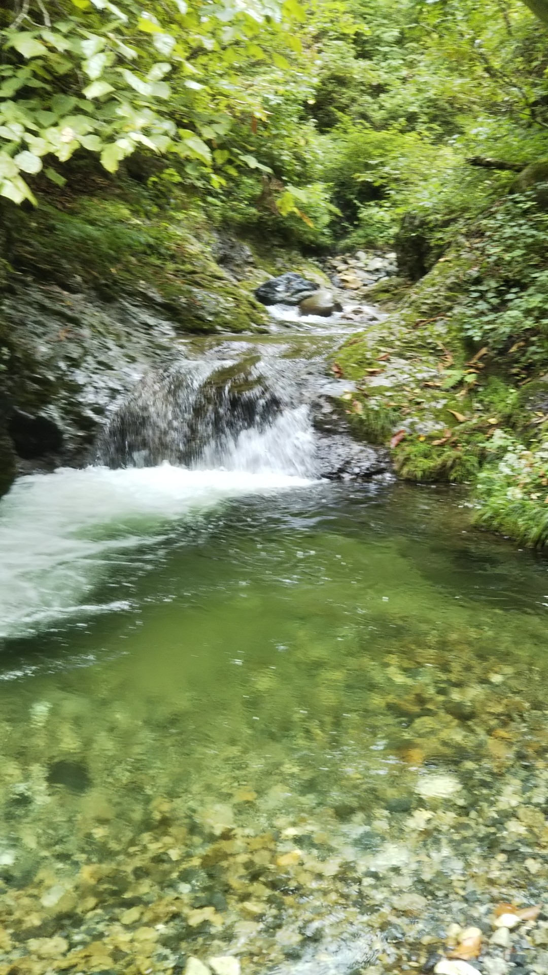 日帰り 奥只見湖支流 今年最後釣り たけちゃんさんの会津駒ヶ岳の活動データ Yamap ヤマップ