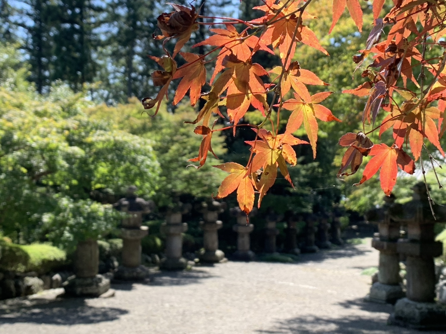 天覧山 多峯主山 One Heartさんの天覧山 多峯主山 天覚山の活動データ Yamap ヤマップ