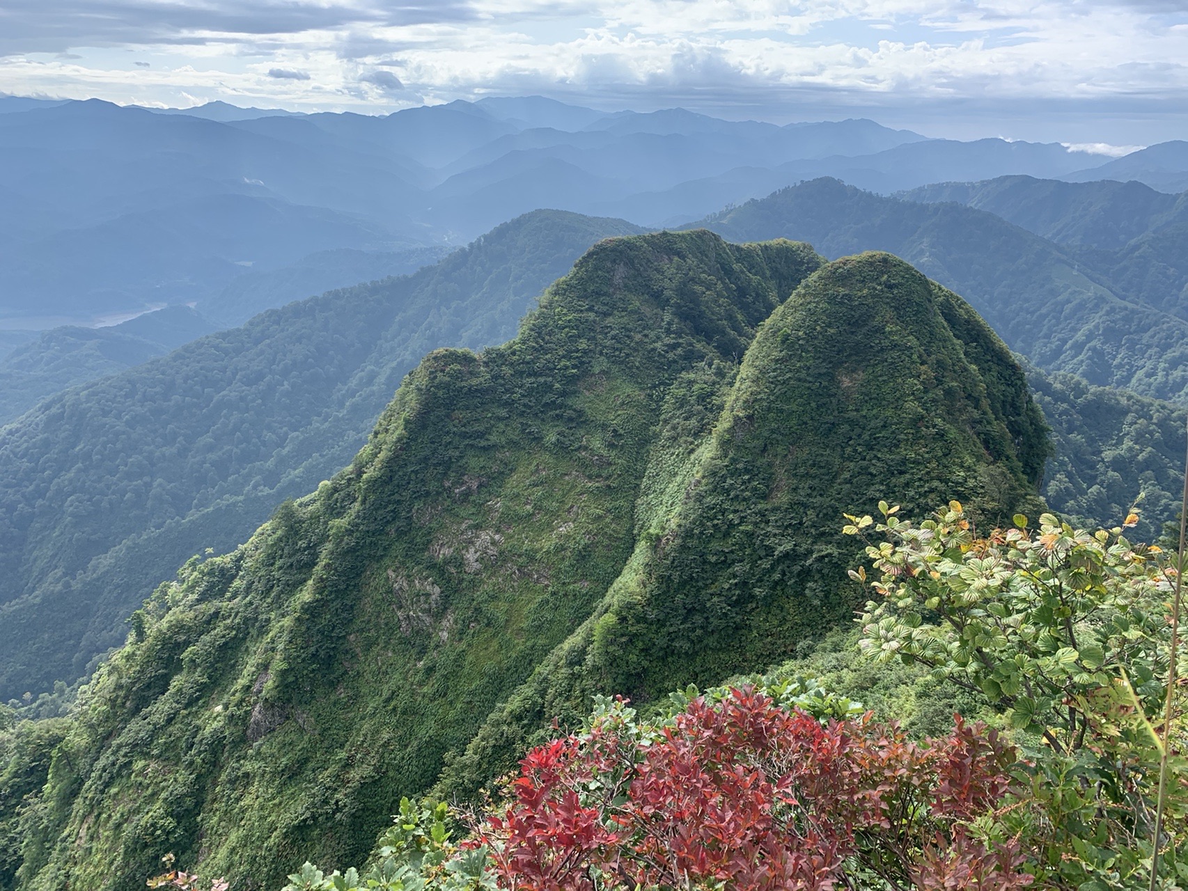 摩耶山 グリーンマンさんの摩耶山 山形県鶴岡市 の活動データ Yamap ヤマップ