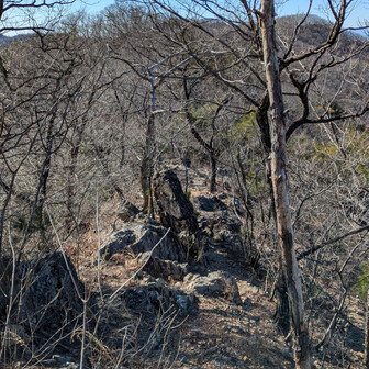 両崖山・仙人ヶ岳・石尊山 細い岩場の稜線
こーゆー道、楽しい
足場はしっかりしているけど
今日も🍃風強っ
爆風だと足元取られて危ないね