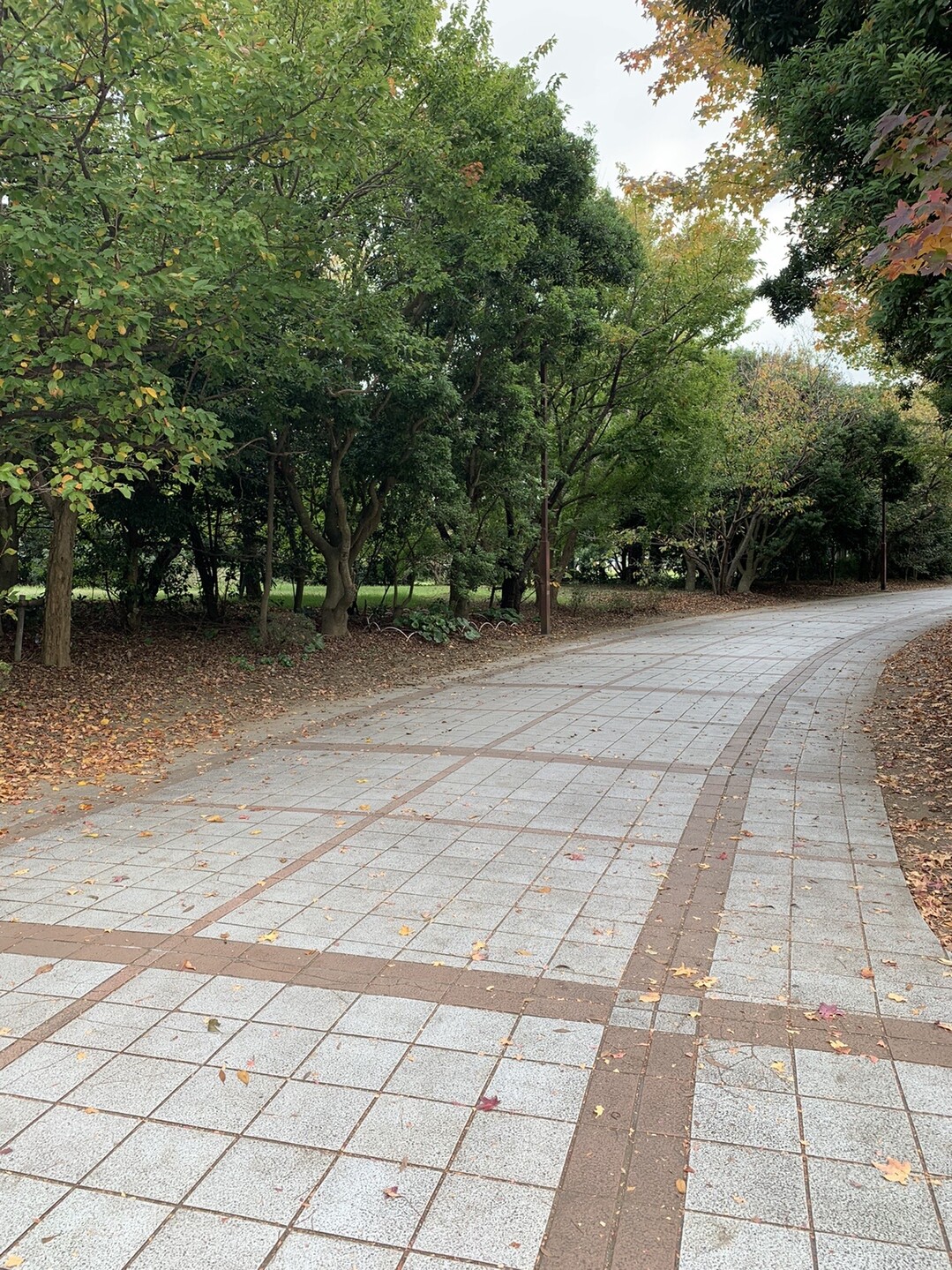 今日は富津市の二座 稲荷山 神明山 ギラもも さんの富津市の活動日記 Yamap ヤマップ