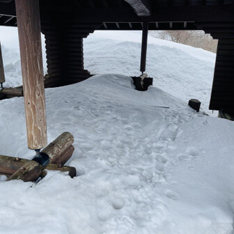 蘇武岳 東屋で休憩しよう‼️
・・・
なんじゃこりゃー😱
