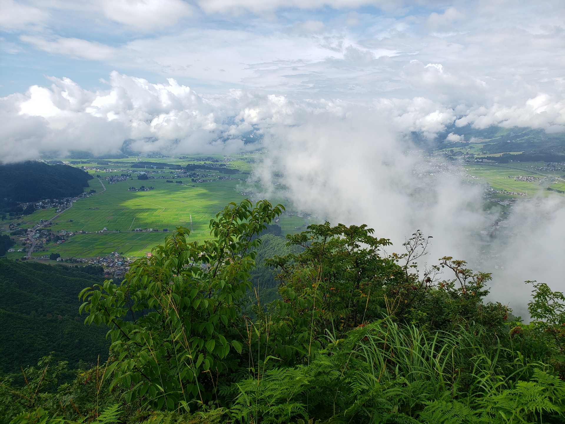 雨 からの晴れ で湿度100 高温多湿過ぎ 坂戸山134回目 ヤマタさんの坂戸山の活動データ Yamap ヤマップ
