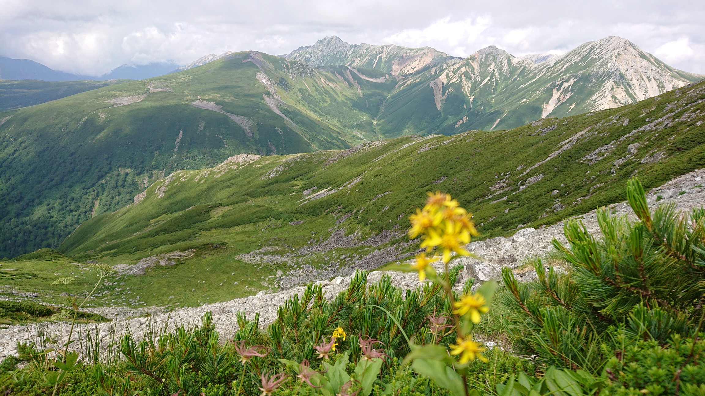 雲ノ平 水晶 鷲羽 三俣蓮華 黒部五郎岳周回二日目 雲ノ平 水晶 鷲羽 三俣蓮華岳 黒部五郎小屋 19 08 24 Reinさんの水晶岳 薬師岳 黒部五郎岳の活動日記 Yamap ヤマップ