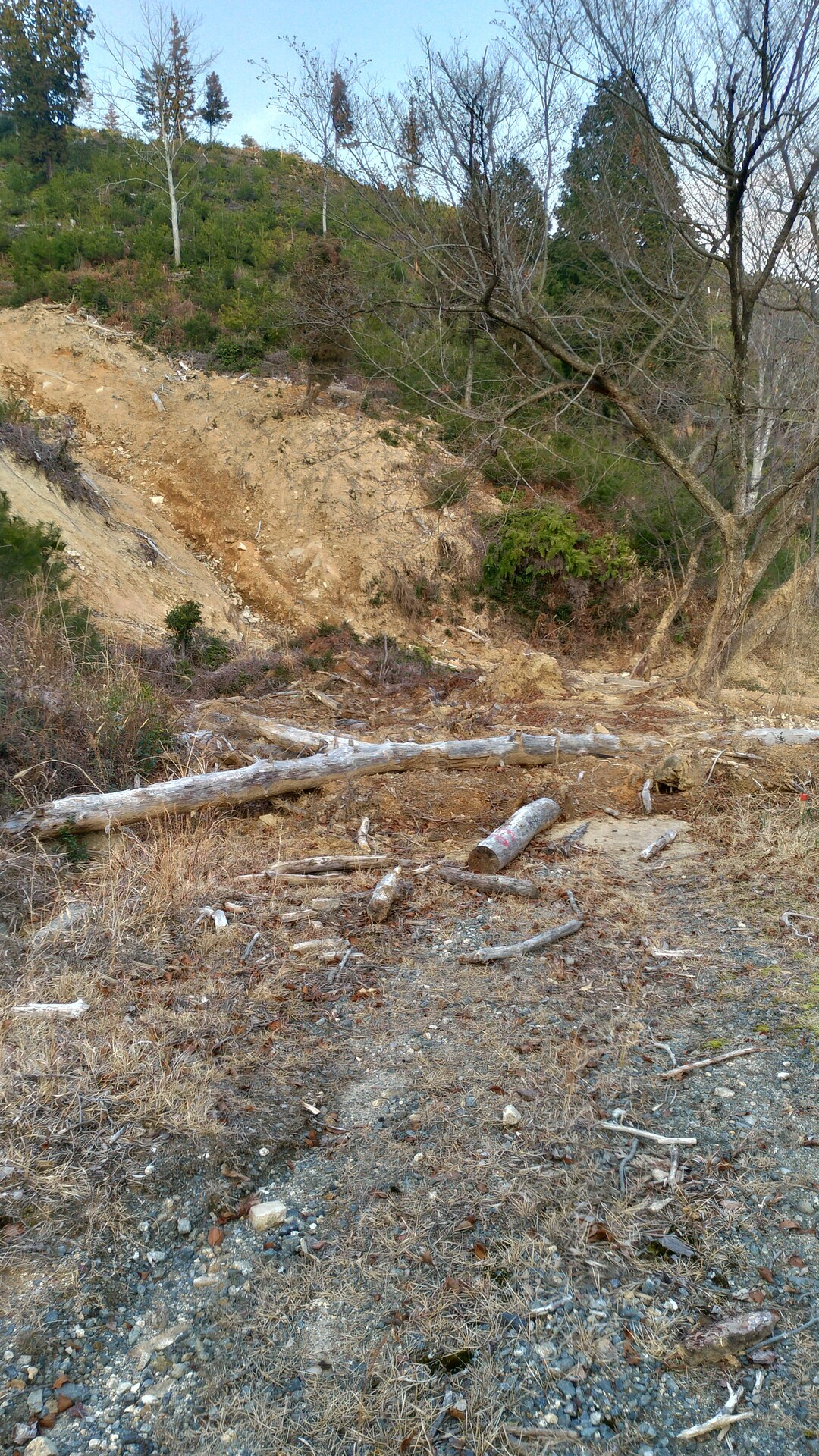 曽場ヶ城山 ぐーとまんさんの水ヶ丸山 水丸山 曽場ヶ城山の活動日記 Yamap ヤマップ