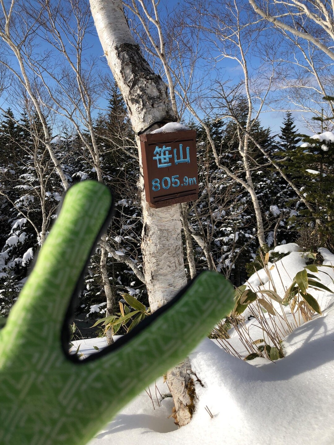 笹山2日目🏔日高山脈の絶景が見たくて🏔 / 秀子さんの貫気別山・リビラ山の活動データ YAMAP / ヤマップ