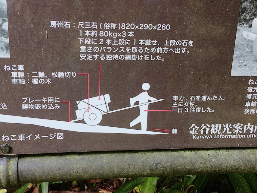 ラピュタの壁 鋸山 千葉県 19 08 31 めいちんさんの鋸山の活動日記 Yamap ヤマップ