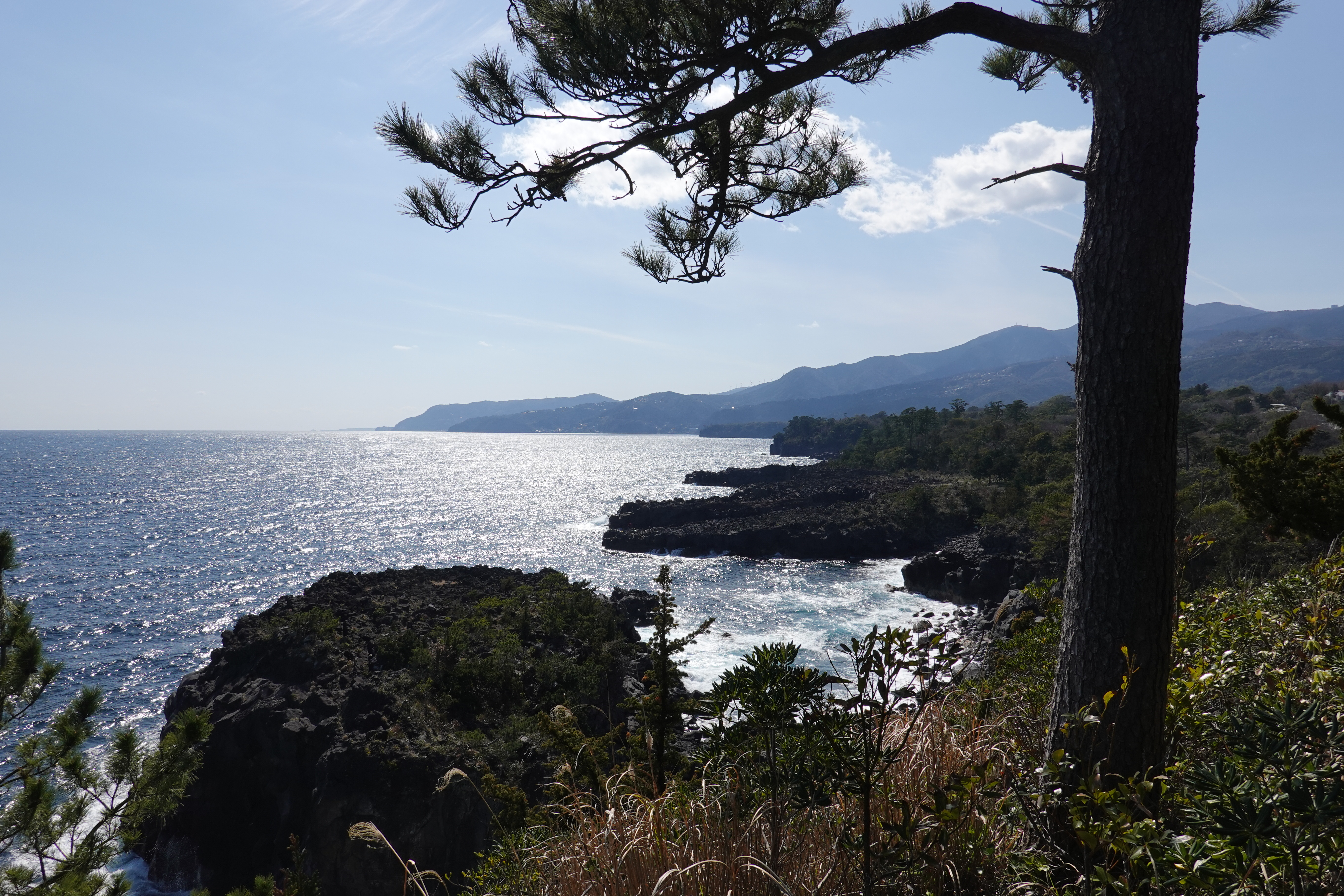 城ヶ崎海岸自然研究路コース きままにゆるりと過ごし中さんの城ヶ崎海岸自然研究路コースの活動日記 Yamap ヤマップ