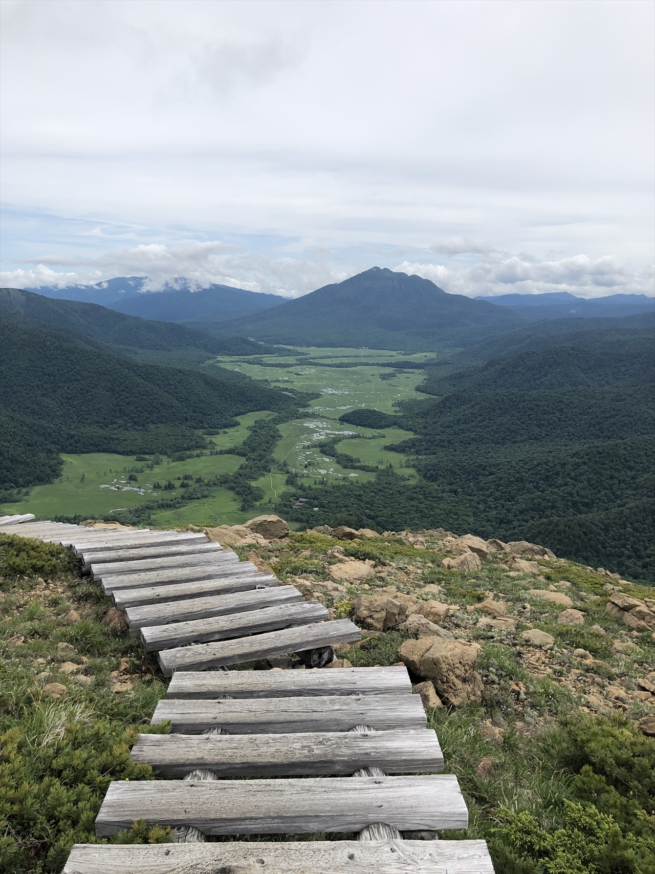 至仏山 小至仏山は高山植物の宝庫 トレッキングさんの至仏山 悪沢岳 笠ヶ岳の活動データ Yamap ヤマップ
