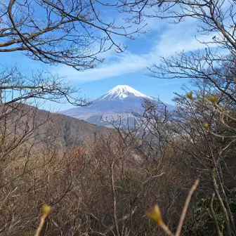 富士山ドーンっ！ですね