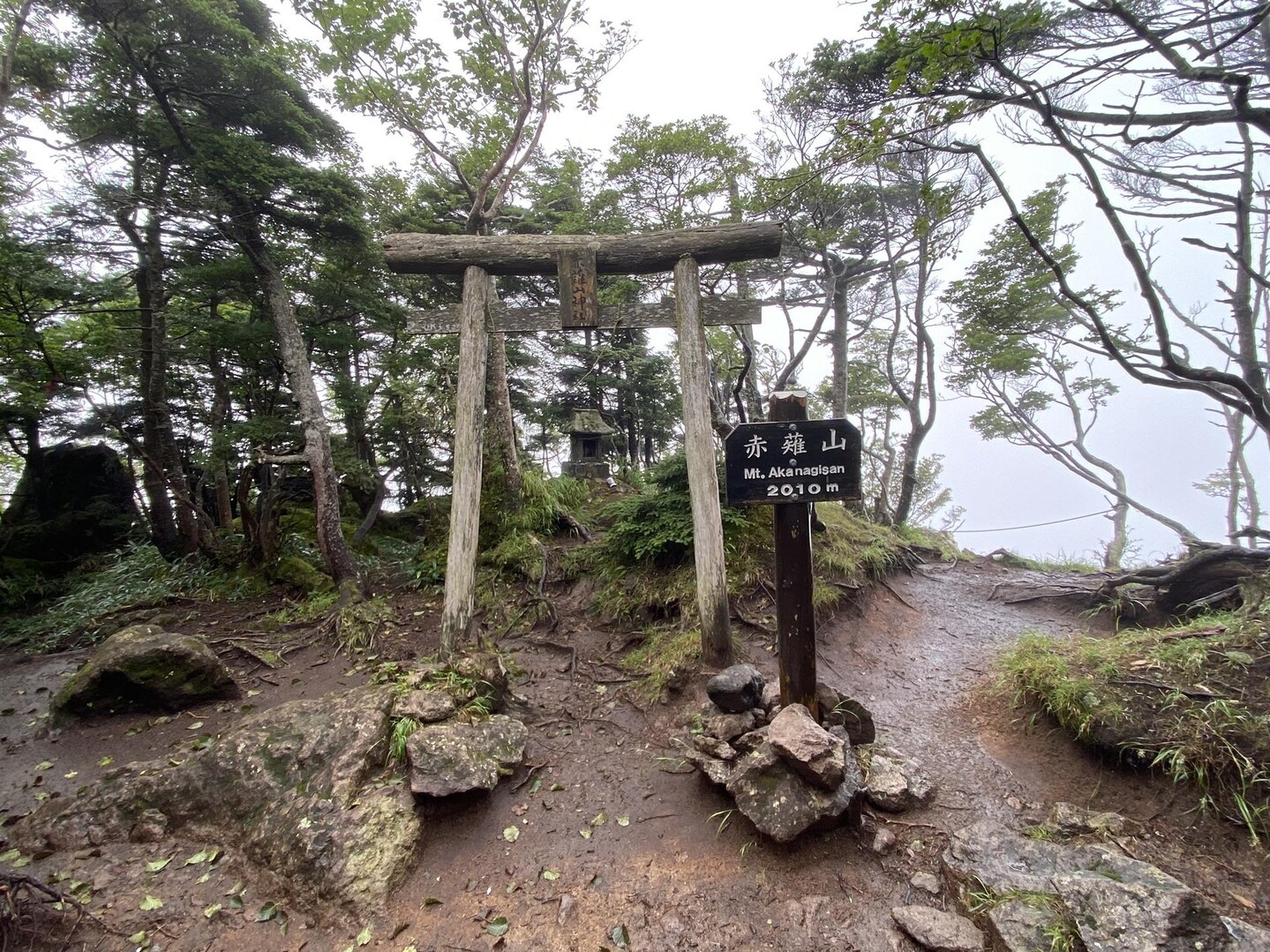 霧降高原から赤薙山と赤薙奥社跡 2023823 / 光げんじさんの女峰山・赤薙山・大真名子山の活動データ YAMAP / ヤマップ