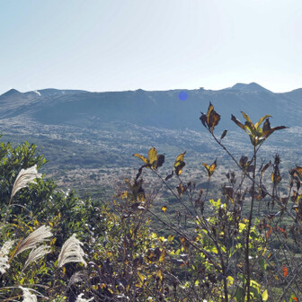 外輪山、山頂口
ここからスタート。
