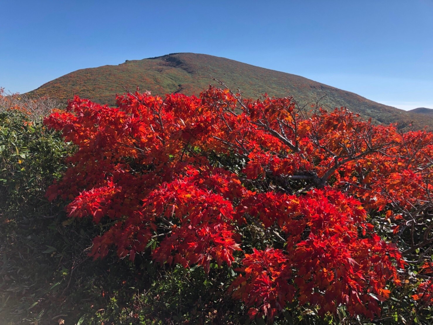 栗駒山 須川湖キャンプ場2泊3日 Chacoさんの栗駒山 須川岳 秣岳 虚空蔵山の活動データ Yamap ヤマップ