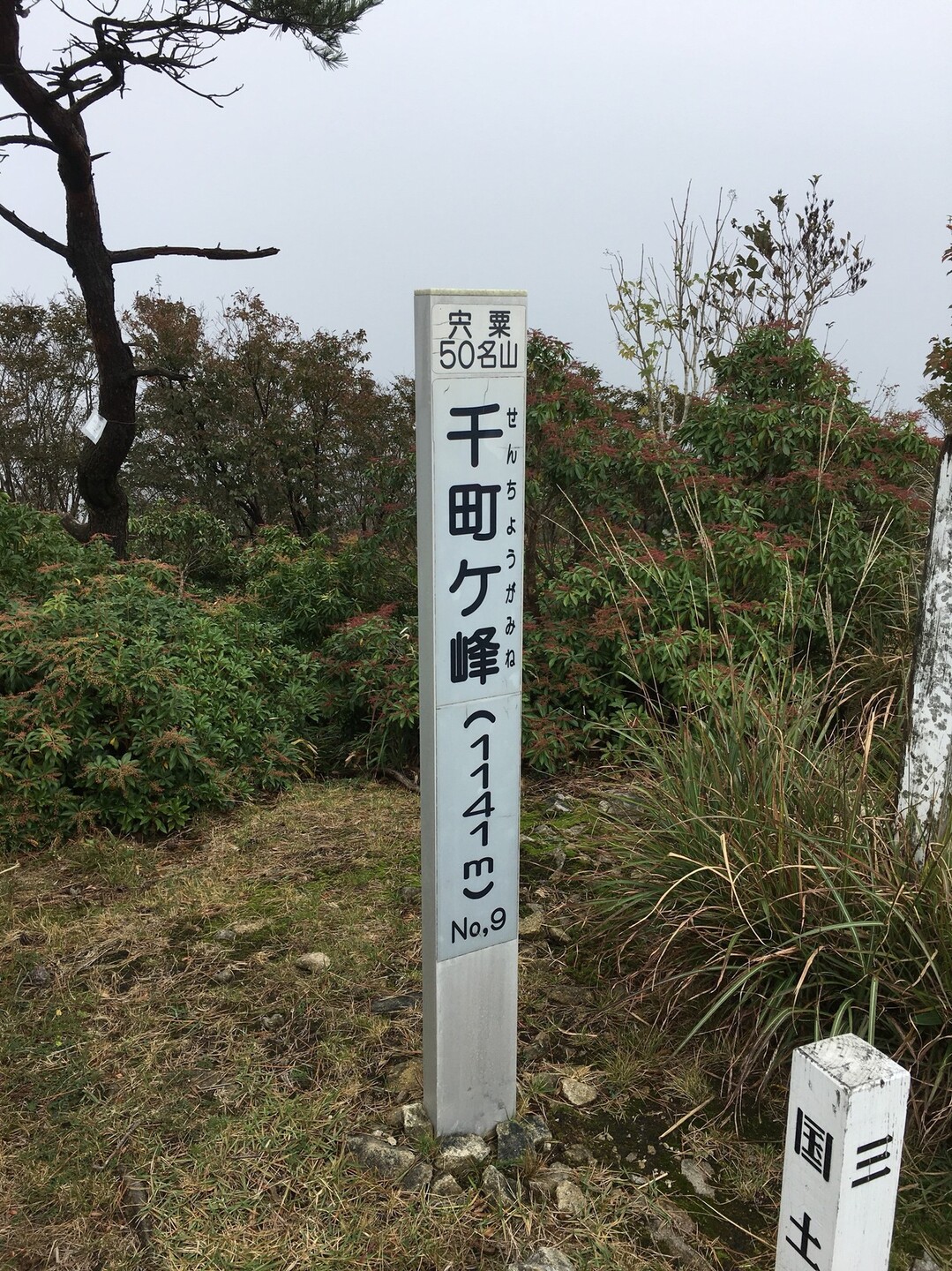 こぶしの村～千町ケ峰～林道～大段山 / 六甲太郎さんの段ヶ峰・笠杉山・千町ヶ峰の活動データ YAMAP / ヤマップ