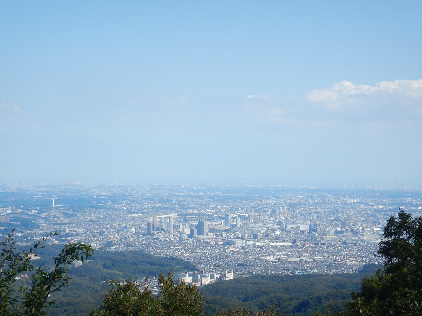 高尾山へ モモンガを探しに Tuck7155さんの高尾山 陣馬山 景信山の活動データ Yamap ヤマップ