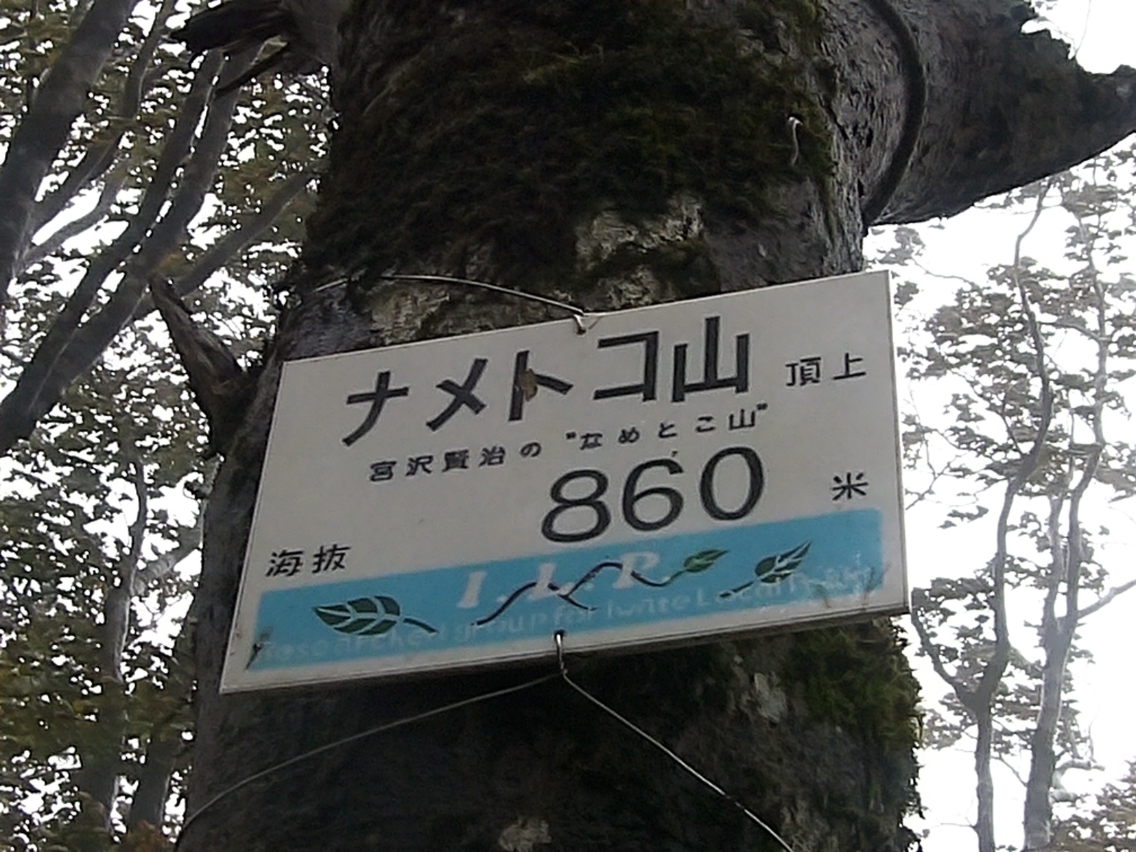 宮沢賢治のナメトコ山 Jac月例山行 Taocccfcさんのナメトコ山の活動データ Yamap ヤマップ