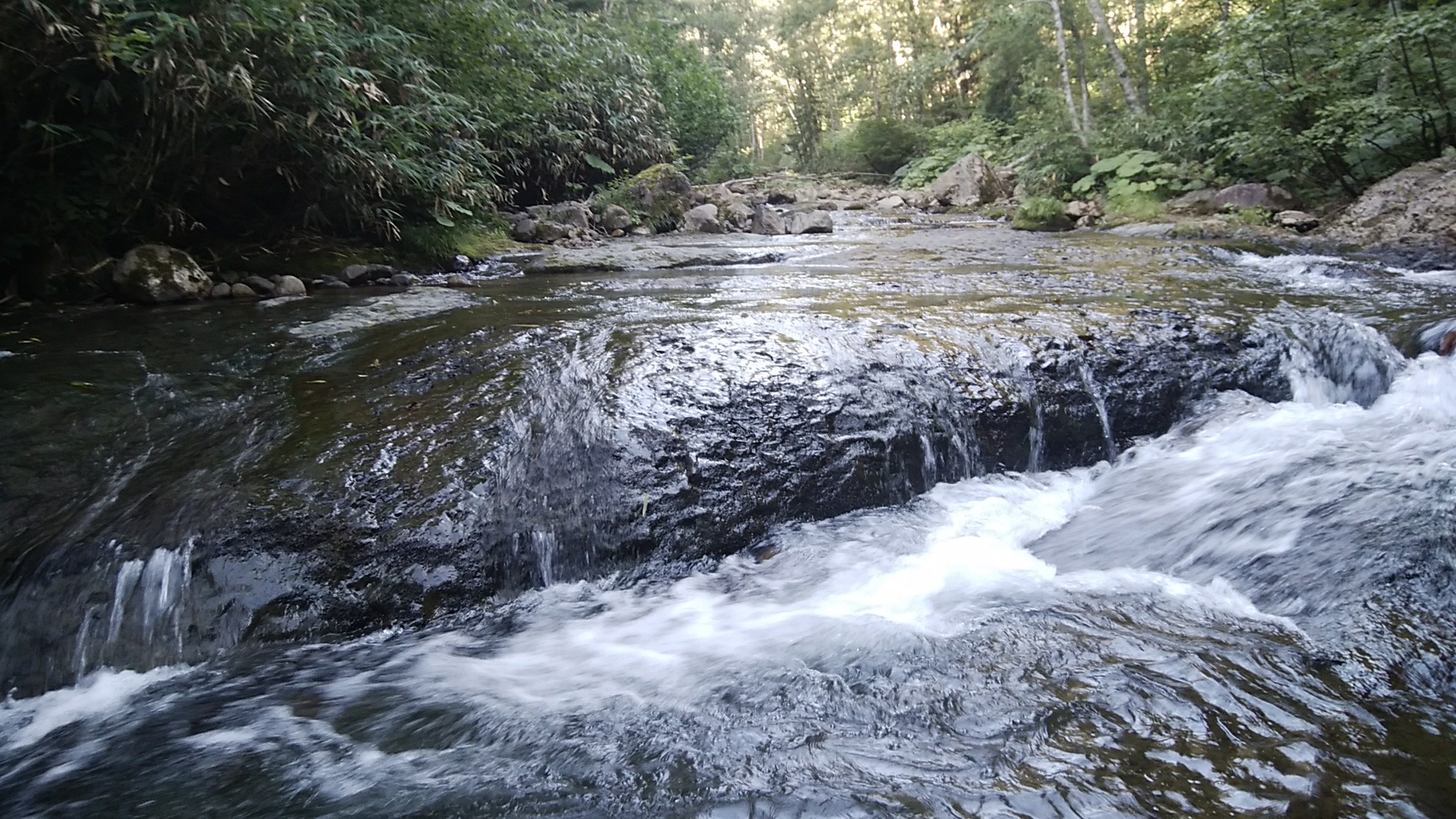 喜茂別岳薄別川から退却 / 北の国からさんの喜茂別岳の活動データ YAMAP / ヤマップ